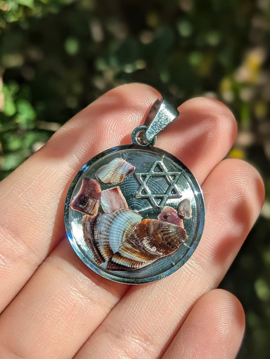 Tzdaf (shell): Purple Brown Shells Silver Magen David in Round Stainless Steel Pendant