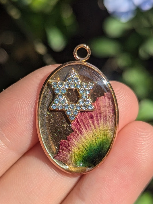 Keshet (Rainbow) Israeli Flower Zirconia Magen David Pendant in Rose Golden Stainless Steel