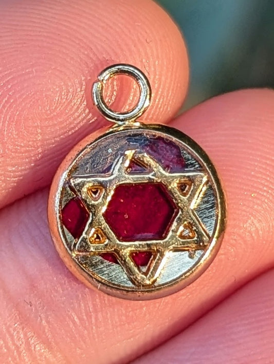 Tiny Israel Encapsulated: Israeli Red Flower and Gold Plated Magen David
