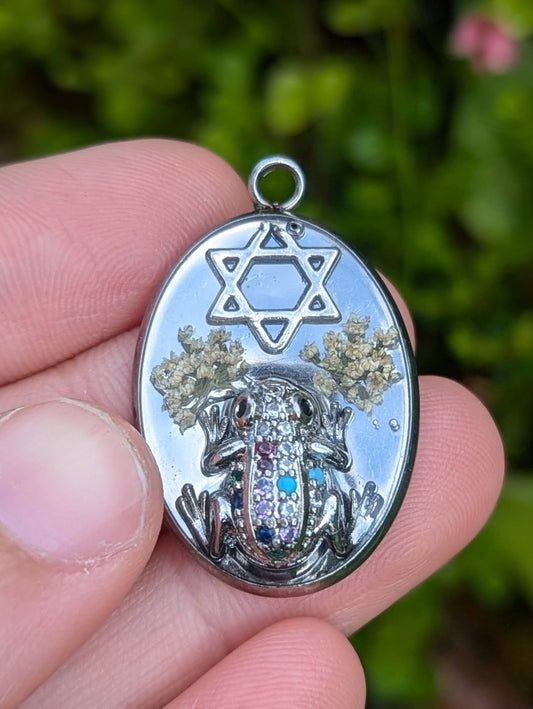 Joy Garden Frog Israeli Flowers Magen David Resin Pendant